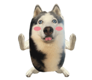 786133602