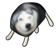 786133603