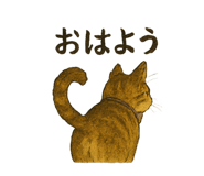 786140599
