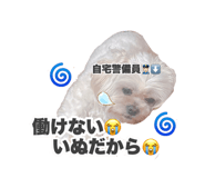 786141567