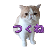 786146828