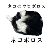 786161522