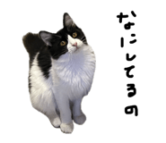 786161543