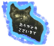 786198674