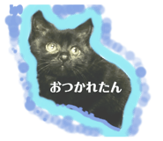 786198676