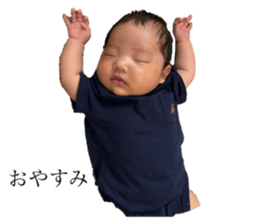 786201855