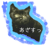 786202667