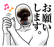 786206549