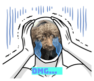 786206552