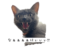786222933