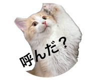 786227874