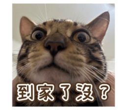 786238789