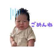 786240228