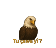 786246066