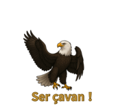 786246069