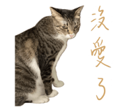 786257879