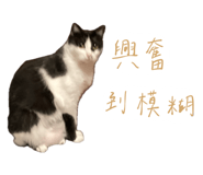 786257890