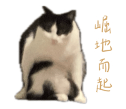 786257891