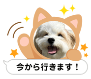 786268329