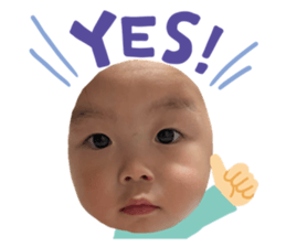 786271915