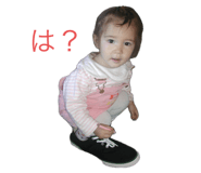 786287755