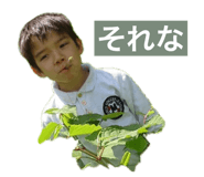 786287777