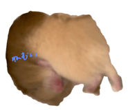 786298982