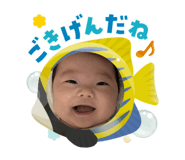 786303213