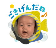 786303685