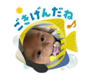786304469
