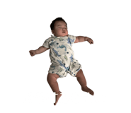 786311364