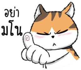 7863231