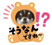 786326331