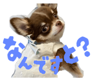 786326332
