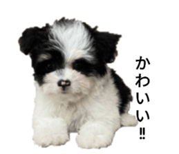 786344597