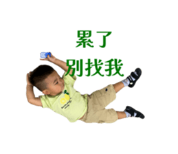 786376833