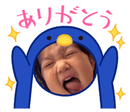 786394305