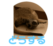 786395914