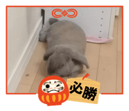 786407689