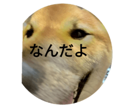 786424257