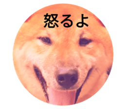 786424260