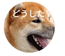 786424263