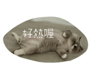 786450508