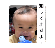 786469081