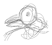 786495275
