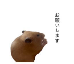 786499553