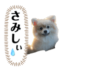 786500594