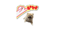 786500598