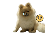 786500599