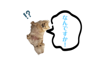 786500600